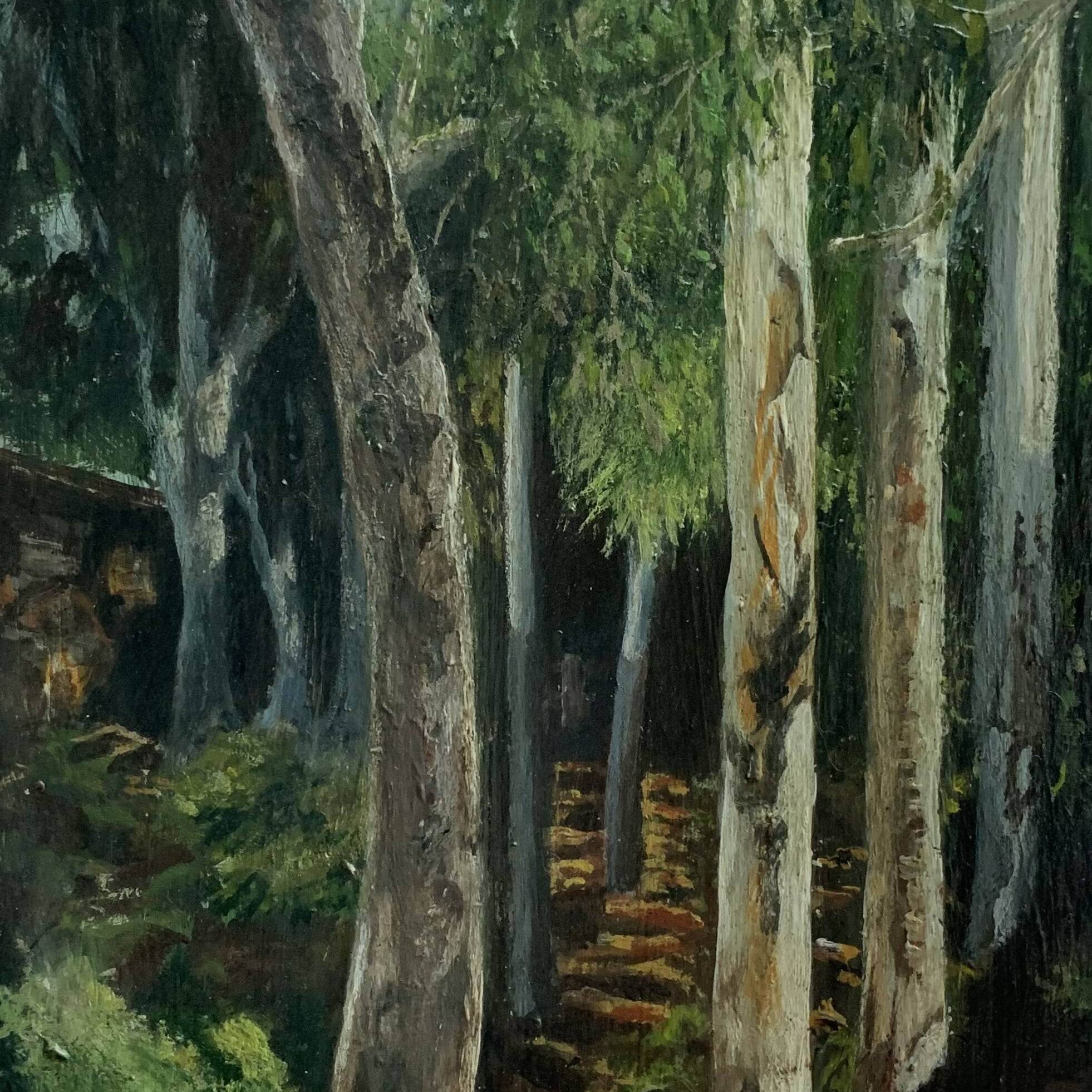 Shadow Grove.JPG